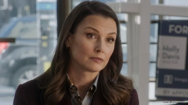 The Best Erin Reagan Episode Of Blue Bloods Ever